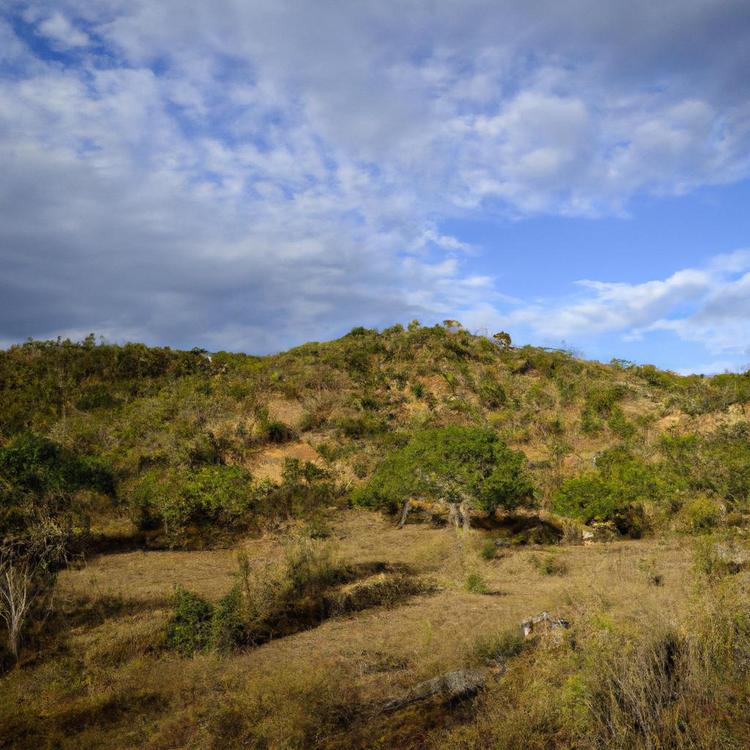 jakie zwierzęta żyją w afryce