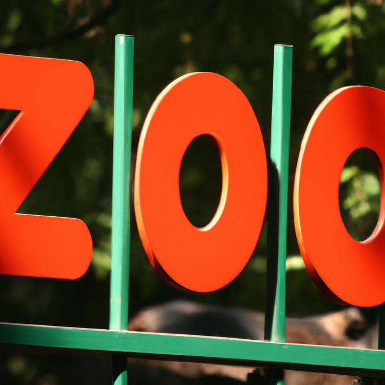 Które zoo w Polsce jest największe? Odkryj nasz ranking!